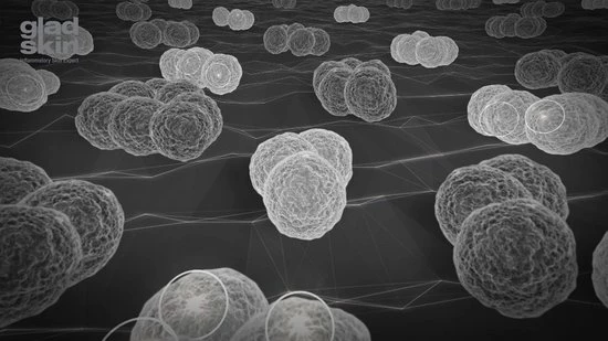 Begroting 🔔 Gladskin ROSACEAR Cream 30ml 🤩 4 Begroting 🔔 Gladskin ROSACEAR Cream 30ml 🤩 - Afbeelding 2