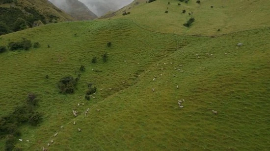 Kopen ✨ Merkloos 45 Gram - Pelgrim Wol Antidruk Wandelwol - Nummer *1* Anti Druk Wol Voor Voeten - Natuurlijke Teenspreider En Blarenpleisters - Hallux Valgus - 100% Merino Wol - Voorkomt En Verzacht Voetongemak ✔️ 4 Kopen ✨ Merkloos 45 Gram - Pelgrim Wol Antidruk Wandelwol - Nummer *1* Anti Druk Wol Voor Voeten - Natuurlijke Teenspreider En Blarenpleisters - Hallux Valgus - 100% Merino Wol - Voorkomt En Verzacht Voetongemak ✔️ - Afbeelding 2