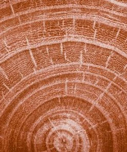 Groothandel ๐ Kneipp Men - Warm Woods - Douche Foam ๐ 12 Groothandel ๐ Kneipp Men - Warm Woods - Douche Foam ๐ -L'Orรฉal Shop 550x330 1