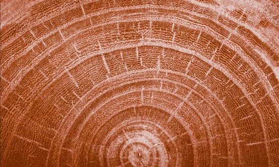 Groothandel ๐ Kneipp Men - Warm Woods - Douche Foam ๐ 7 Groothandel ๐ Kneipp Men - Warm Woods - Douche Foam ๐ - Afbeelding 5