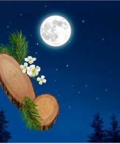 Kopen π Kneipp Good Night - Douchegel π 13 Kopen π Kneipp Good Night - Douchegel π -L'OrΓ©al Shop 550x374