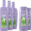 Kopen β¨ Andrélon Classic Iedere Dag Shampoo En Conditioner - 3 X 300 Ml + 2 X 300 Ml - Voordeelverpakking βοΈ 2 Kopen β¨ Andrélon Classic Iedere Dag Shampoo En Conditioner - 3 X 300 Ml + 2 X 300 Ml - Voordeelverpakking βοΈ -L'OrΓ©al Shop 550x511