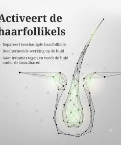 Korting π LB Products™ Baardgroei Olie - Baardolie - Baard Groei Middel - Baardhaar - Baardgroei Stimuleren - Versnellen 30 Ml π 15 Korting π LB Products™ Baardgroei Olie - Baardolie - Baard Groei Middel - Baardhaar - Baardgroei Stimuleren - Versnellen 30 Ml π -L'OrΓ©al Shop 550x550 717