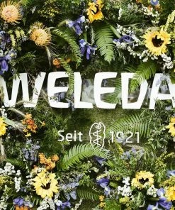 Beste Verkoop 🔥 Weleda Skin Food 75ml ⭐ -L'Oréal Shop 550x550 978