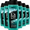 Groothandel 🧨 Fa Extreme Cool Douchegel 6x 250ml - Voordeelverpakking 🛒 2 Groothandel 🧨 Fa Extreme Cool Douchegel 6x 250ml - Voordeelverpakking 🛒 -L'Oréal Shop 550x576 4
